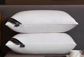Vacuum Packed Luxury Filled Pillow V-1
