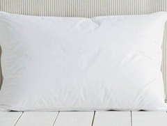 Vacuum Packed Luxury Filled Pillow V-1